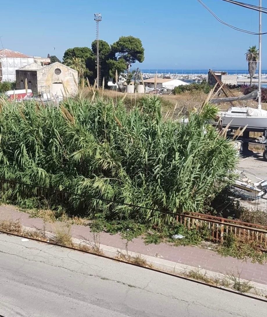 Marciapiede invaso da sterpaglia nella via Fratelli Argento ed a San Giorgio continua l'abbandono dei rifiuti, opposizione all'attacco a Sciacca
