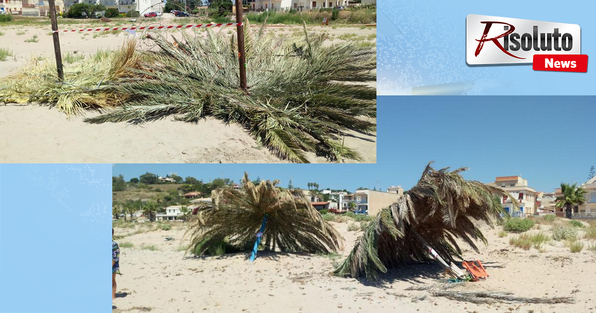 Quindici ombrelloni con base in metallo e struttura in legno sequestrati questa mattina a Porto Palo di Menfi