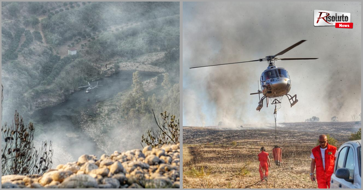 A Caltabellotta si fa la stima dei danni dopo l’incendio nell’area boschiva di Giraffe