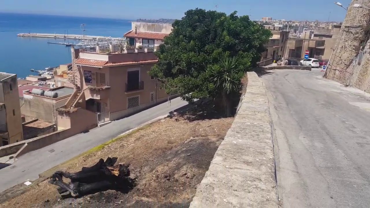 Chiusa la zona del Campidoglio da ieri per un albero pericolante