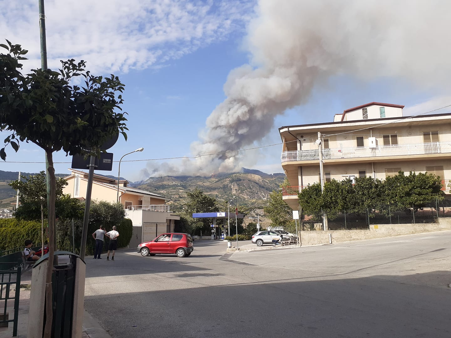 Un incendio brucia 10 ettari di macchia mediterranea a Burgio, il sindaco: "Chi vede piromani in azione lo segnali subito"