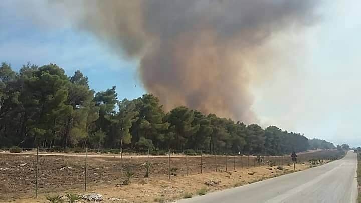 Brucia ancora il Magaggiaro a Menfi, in fumo 40 ettari di bosco
