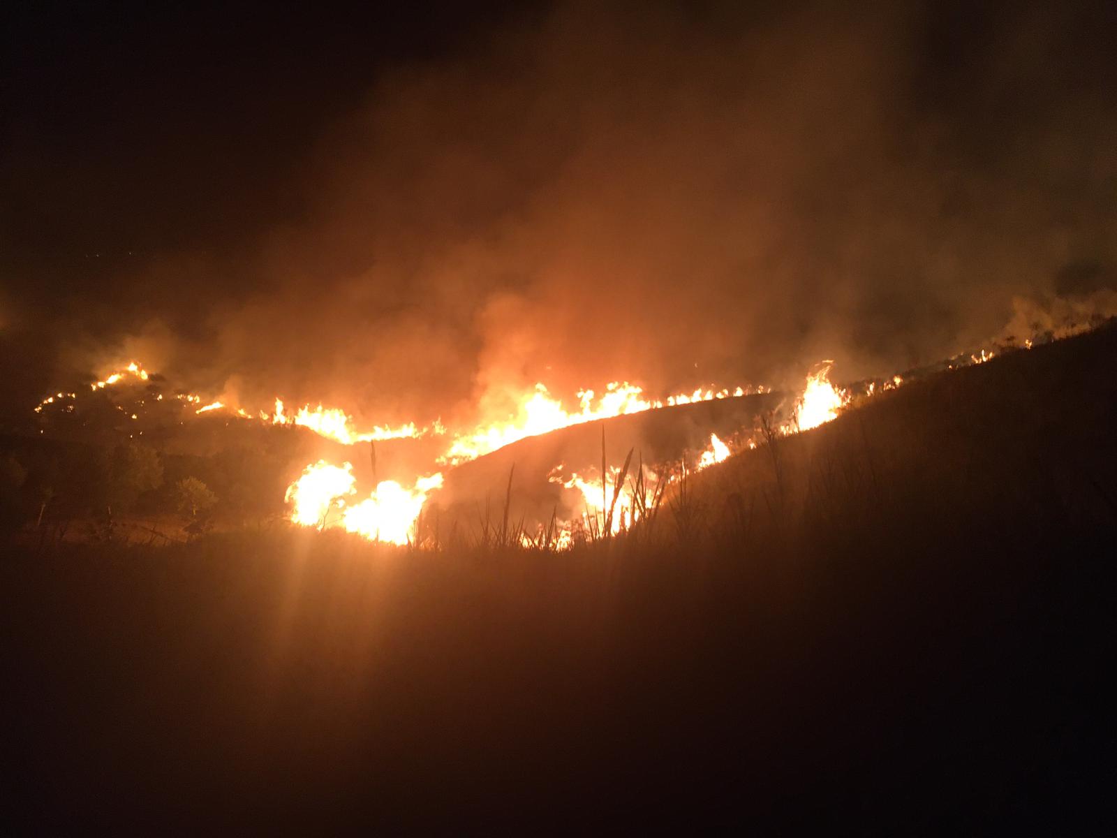 Domenica nera per gli incendi in Sicilia, Cocina: “Potenziare la prevenzione per bloccare i piromani”