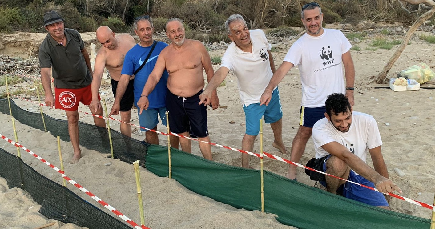 Tartarughe “Caretta caretta” in arrivo a Ribera