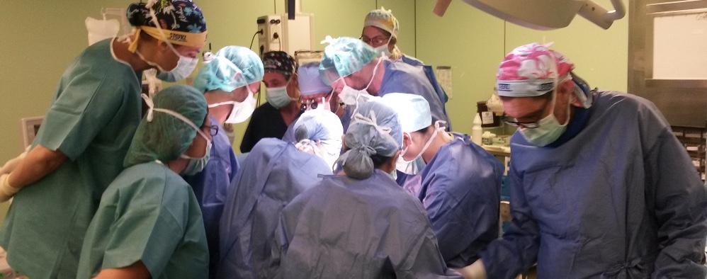L’Asp di Agrigento rilancia le azioni di sensibilizzazione per la donazione di organi