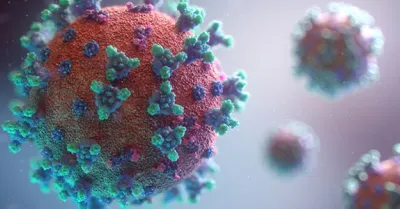 Coronavirus, il direttore sanitario dello Spallanzani: "I giovani vettori della malattia la trasmettono a genitori e nonni"