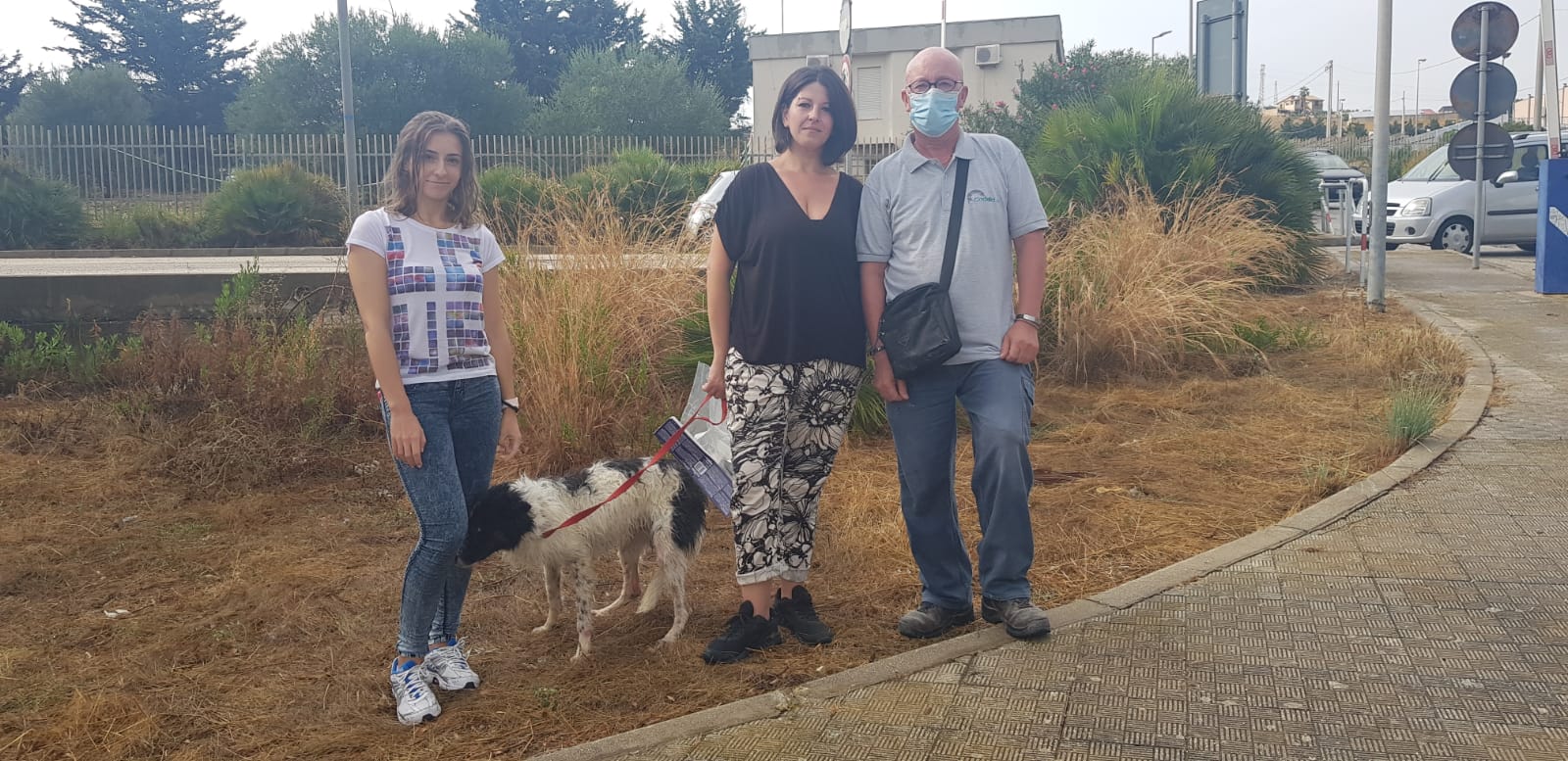 La storia del randagio Andrea, caduto in un tombino e salvato dalle volontarie Balzoo ora cerca un padrone