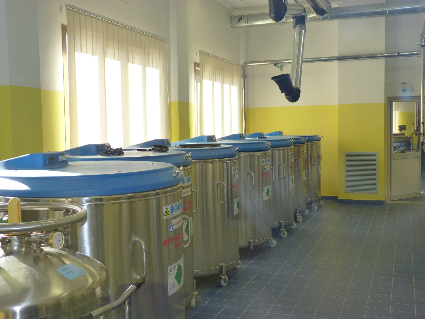 Un bambino ungherese potrà guarire  dalla leucemia grazie alle cellule staminali provenienti dalla Banca del cordone ombelicale di Sciacca