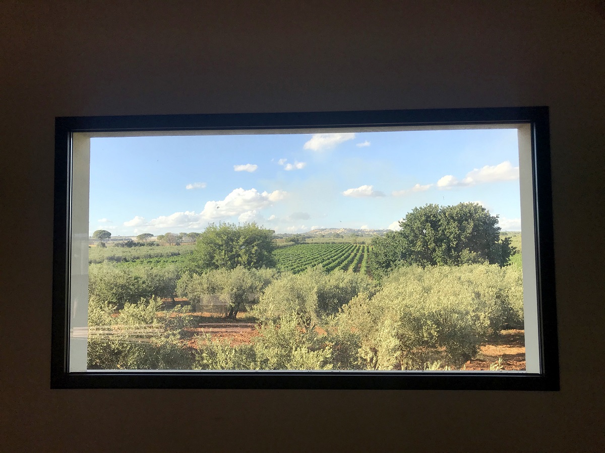 Window Swap, una finestra sul mondo