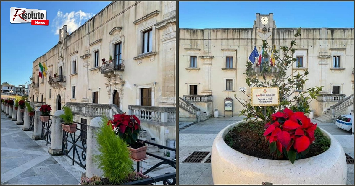Arrivano le Stelle di Natale nel centro di Santa Margherita Belice