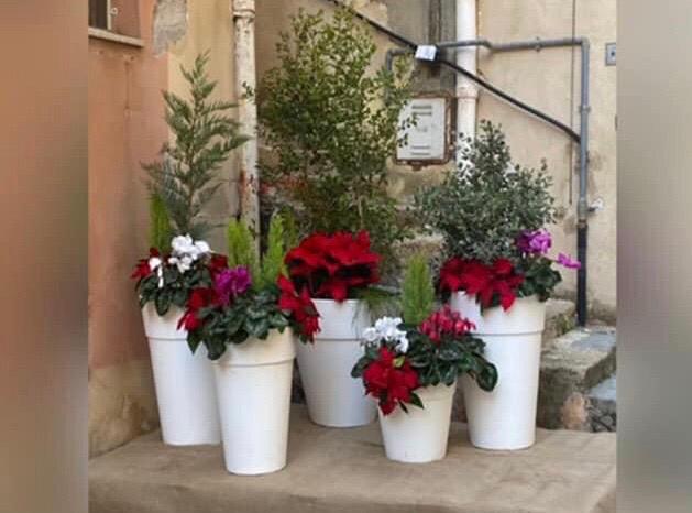 Il Rotary Club di Sciacca impreziosisce e illumina uno scorcio di città