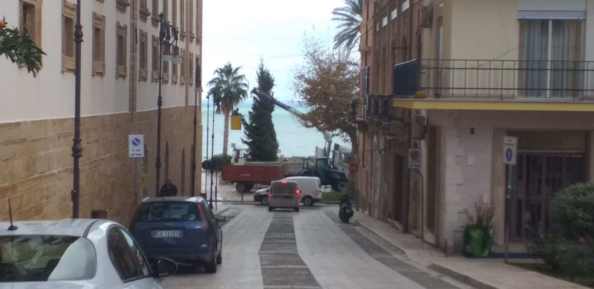 Arriva il tradizionale albero in piazza Scandaliato, operazioni di montaggio in corso