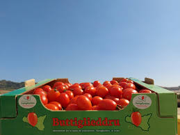 Pomodorino buttiglieddru,  nuovo presidio Slow Food in Sicilia
