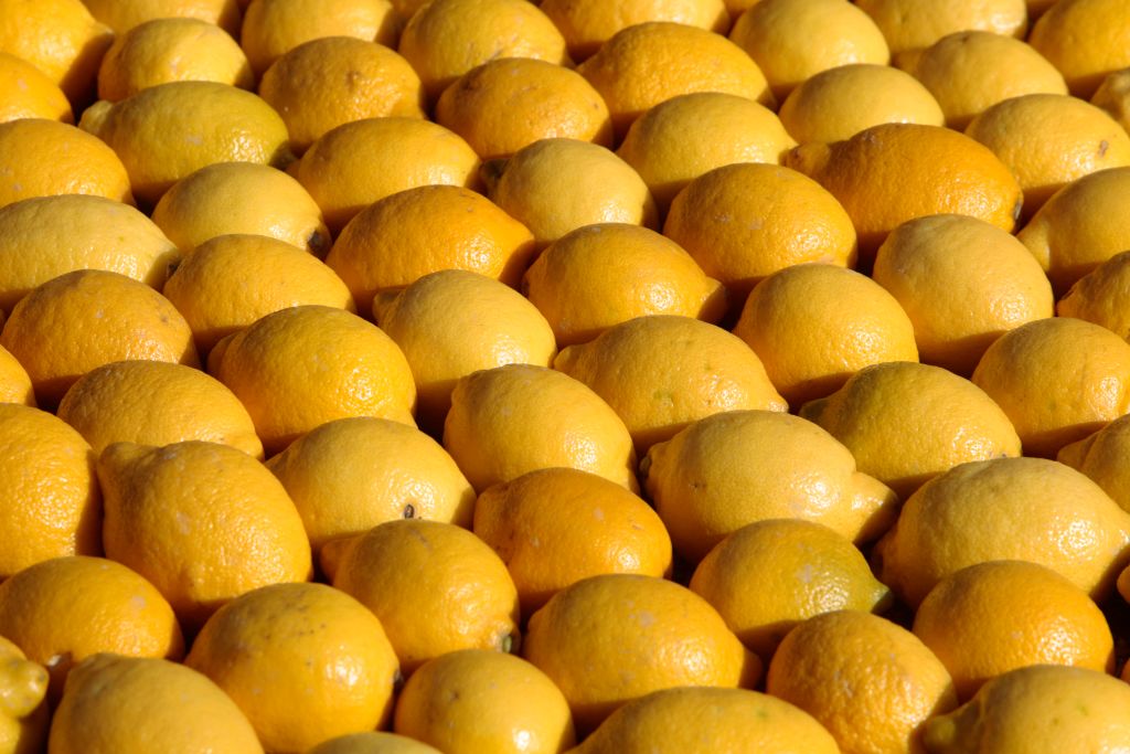 Sequestrati ad Avola 22 mila chili di limoni provenienti dalla Spagna, Bandiera: “Occhio ai controlli”