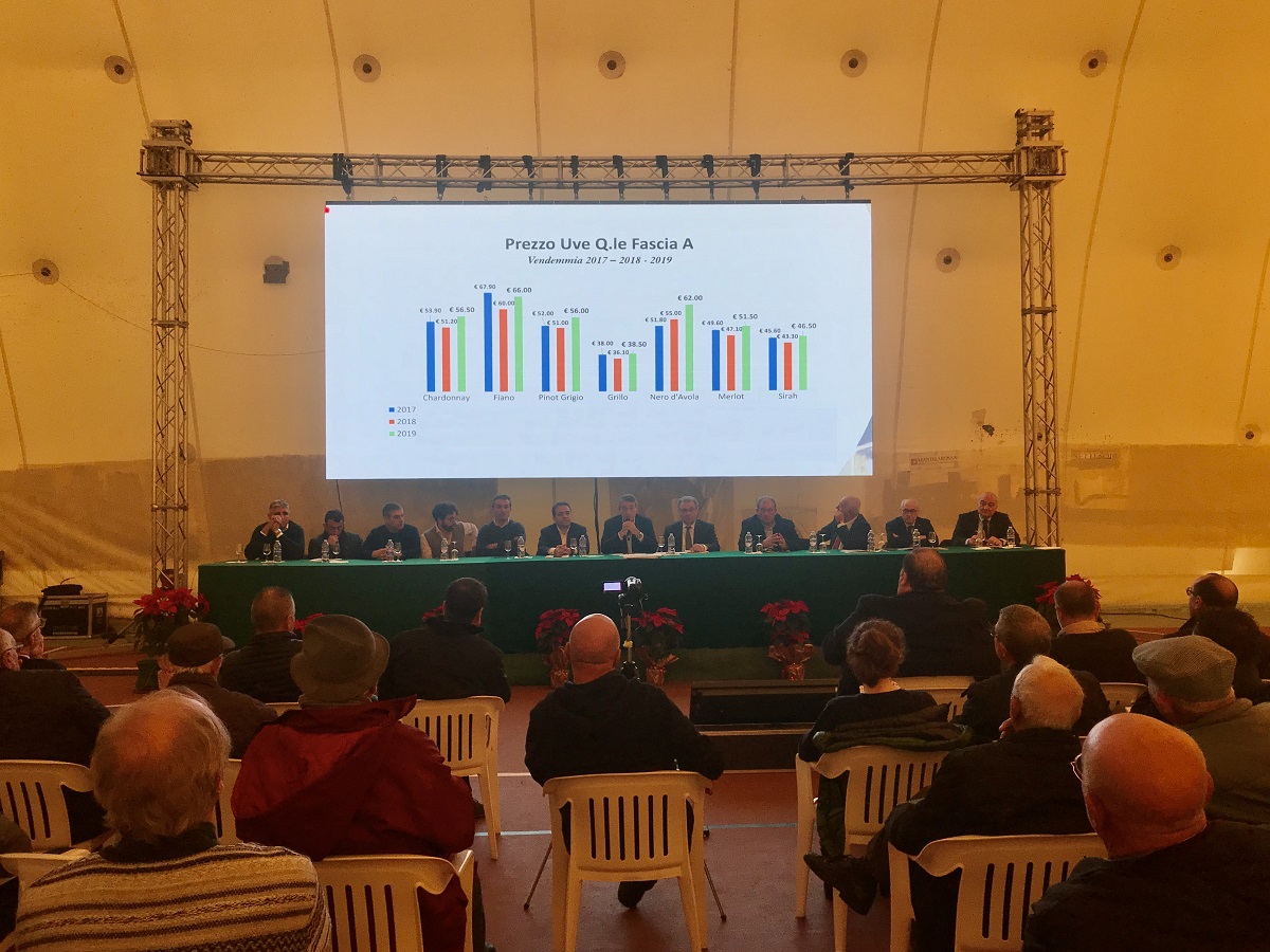 Cantine Settesoli, eletto il nuovo CdA e Bursi verso la conferma a presidente