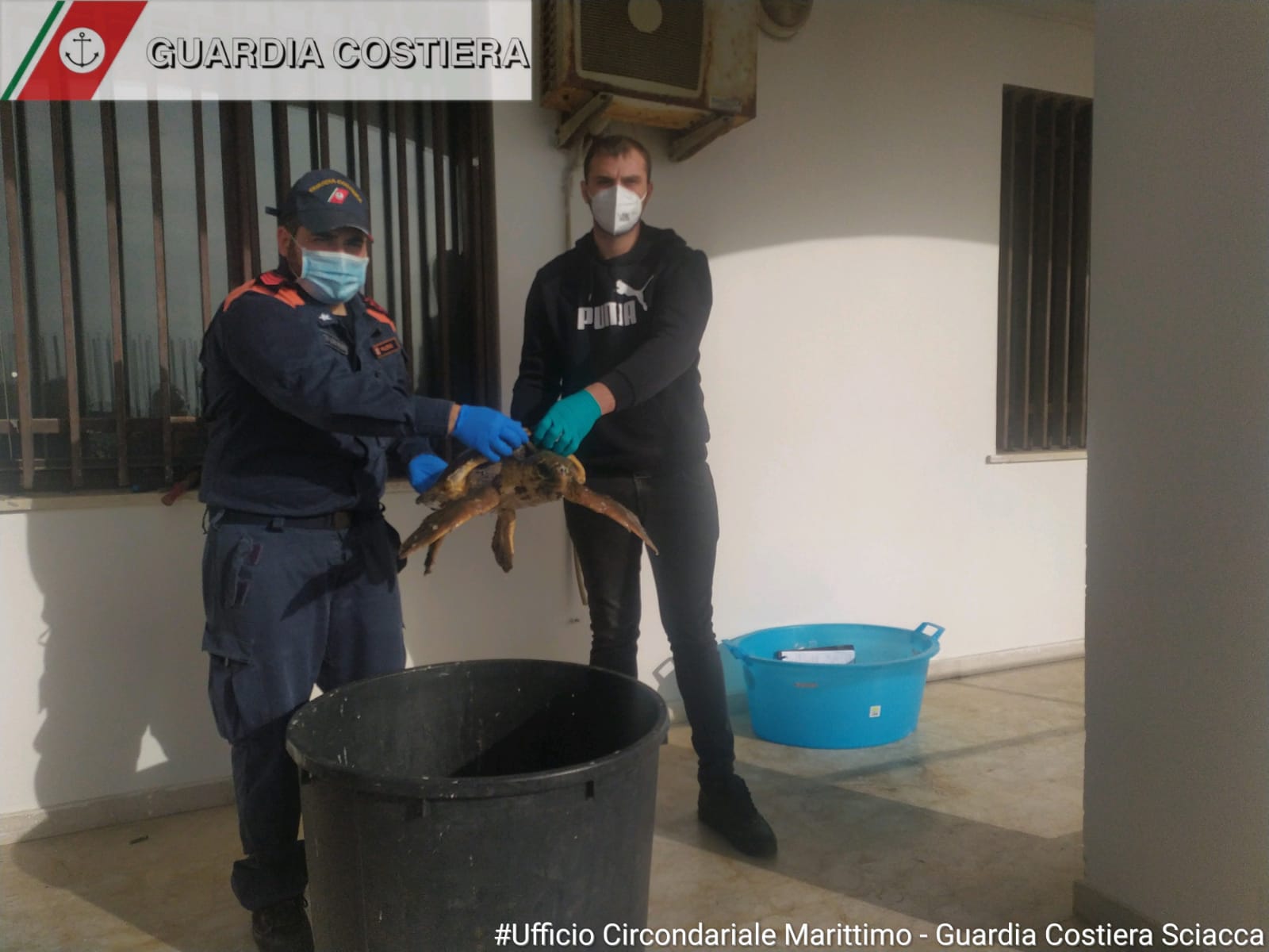 Recuperata una tartaruga marina in difficolta' alla Lega Navale di Sciacca, affidata alle cure del WWf
