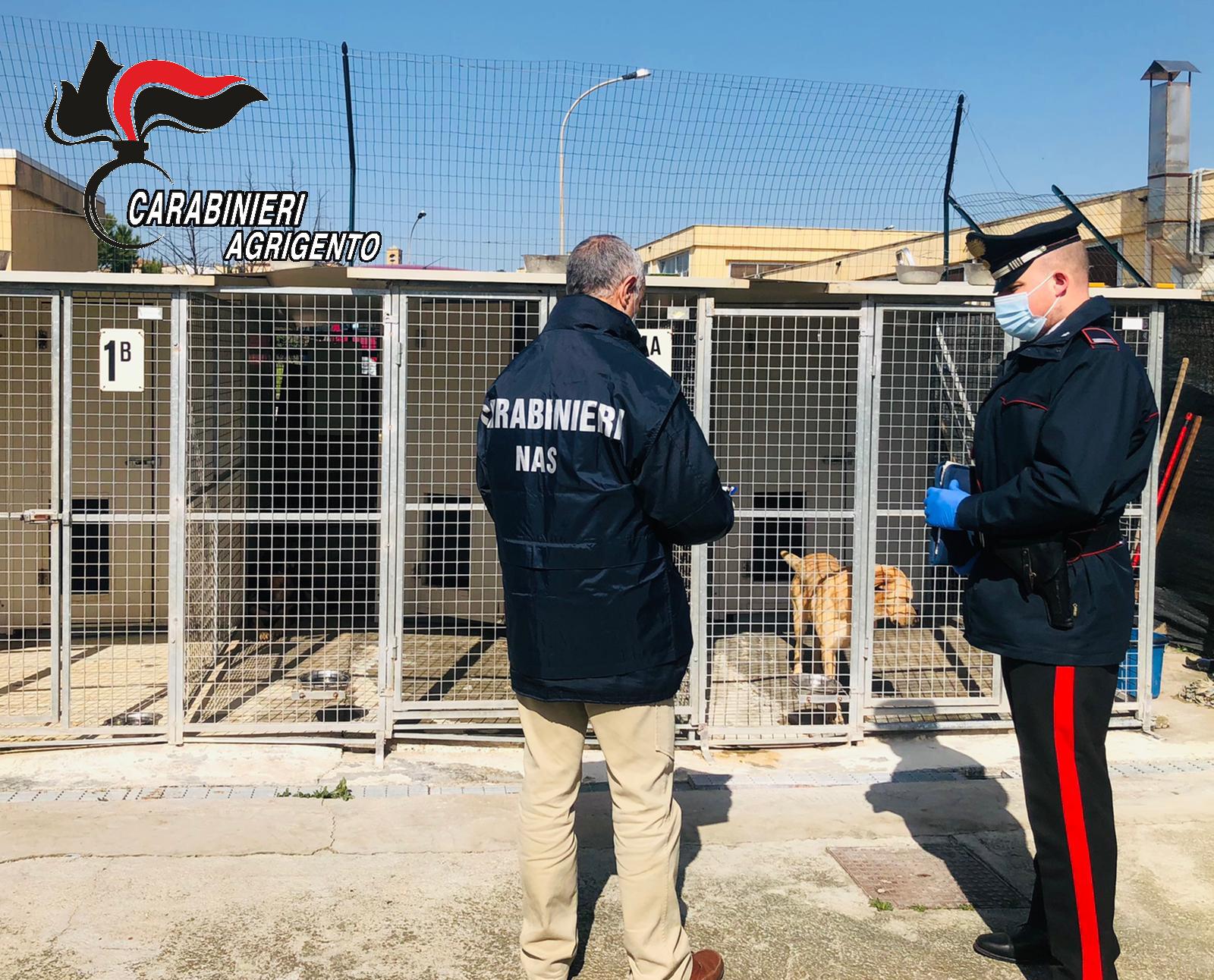 Sequestrato il canile di Canicattì, irregolarità e inidoneità degli spazi