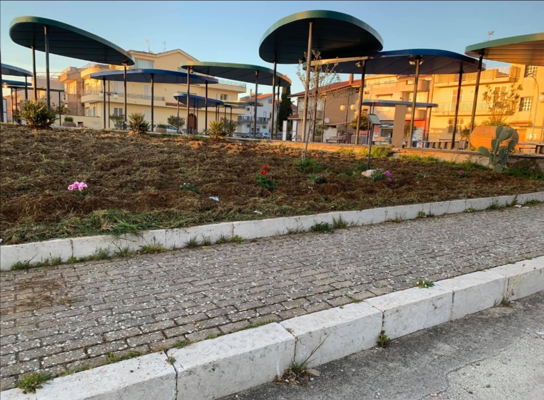 Santa Margherita di Belice, nuovi alberi in piazza Loi grazie a Libera