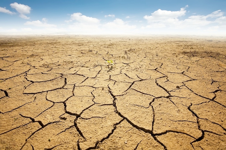 L'Ora della Terra, tante adesioni in Sicilia all'iniziativa organizzata dal Wwf contro i cambiamenti climatici