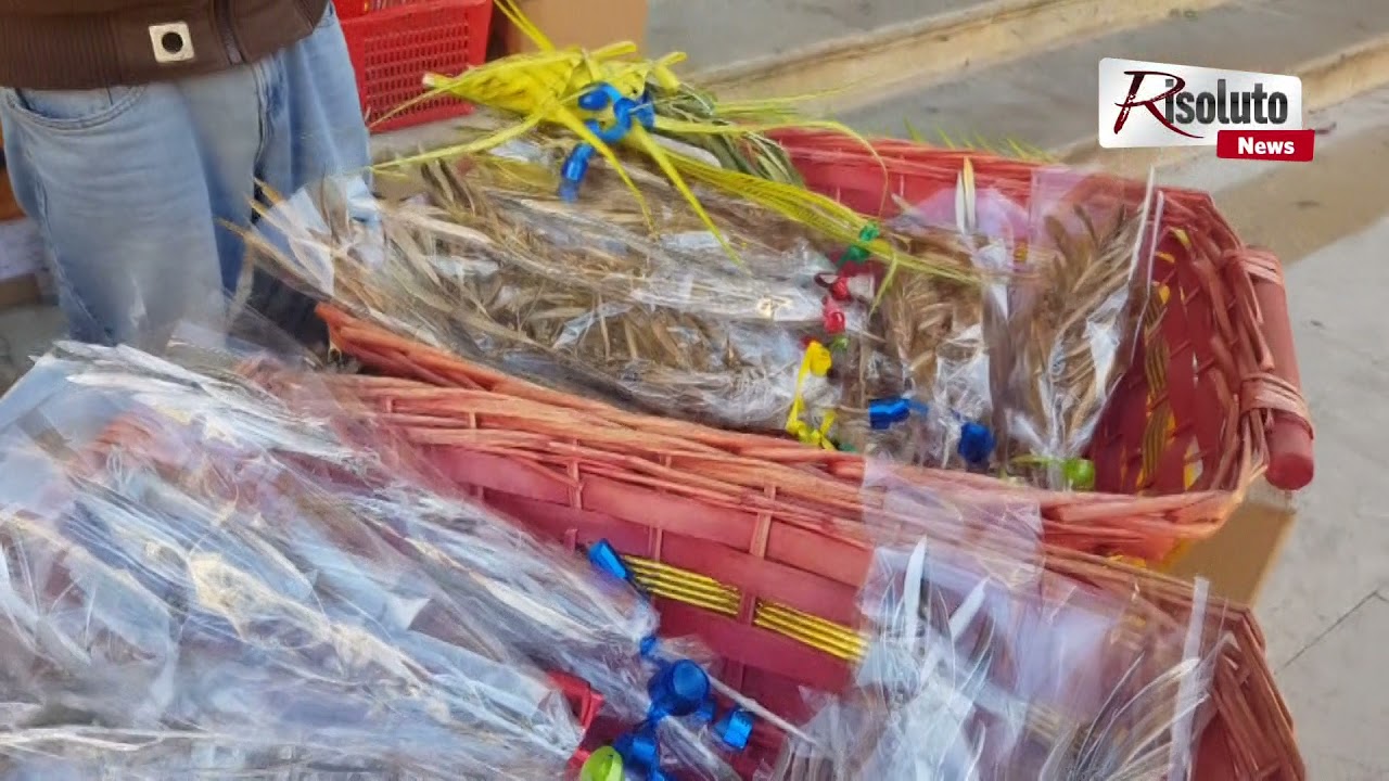 Domenica delle Palme in pandemia, c'è chi non rinuncia al simbolo che annuncia la Pasqua (Interviste)