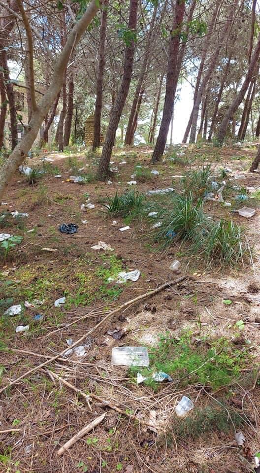 Degrado pineta di San Calogero a Sciacca, Monte al comune: "Con cadenza settimanale una squadra che si dedichi alla manutenzione dell’area"