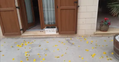 "Lu Sciuri di Maju", a Menfi e in altri paesi siciliani l'antica tradizione dei fiori di maggio