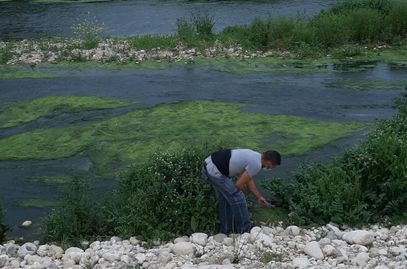 Trovata da una famiglia riberese una tartaruga palustre in strada, l'animale liberato nelle acque del Verdura grazie al WWF