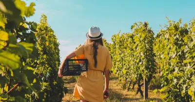 Turismo esperienziale, fondi regionali per Santa Margherita di Belice e Cattolica Eraclea per l'Agrigentino