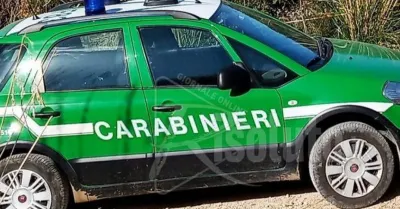 Lavoro irregolare e carenze sulla sicurezza: due imprenditori denunciati tra Caltabellotta e Menfi