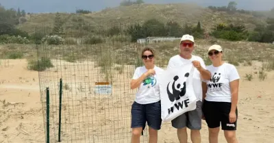 Nuovo nido di Caretta caretta a Porto Palo di Menfi, scattano le misure di tutela