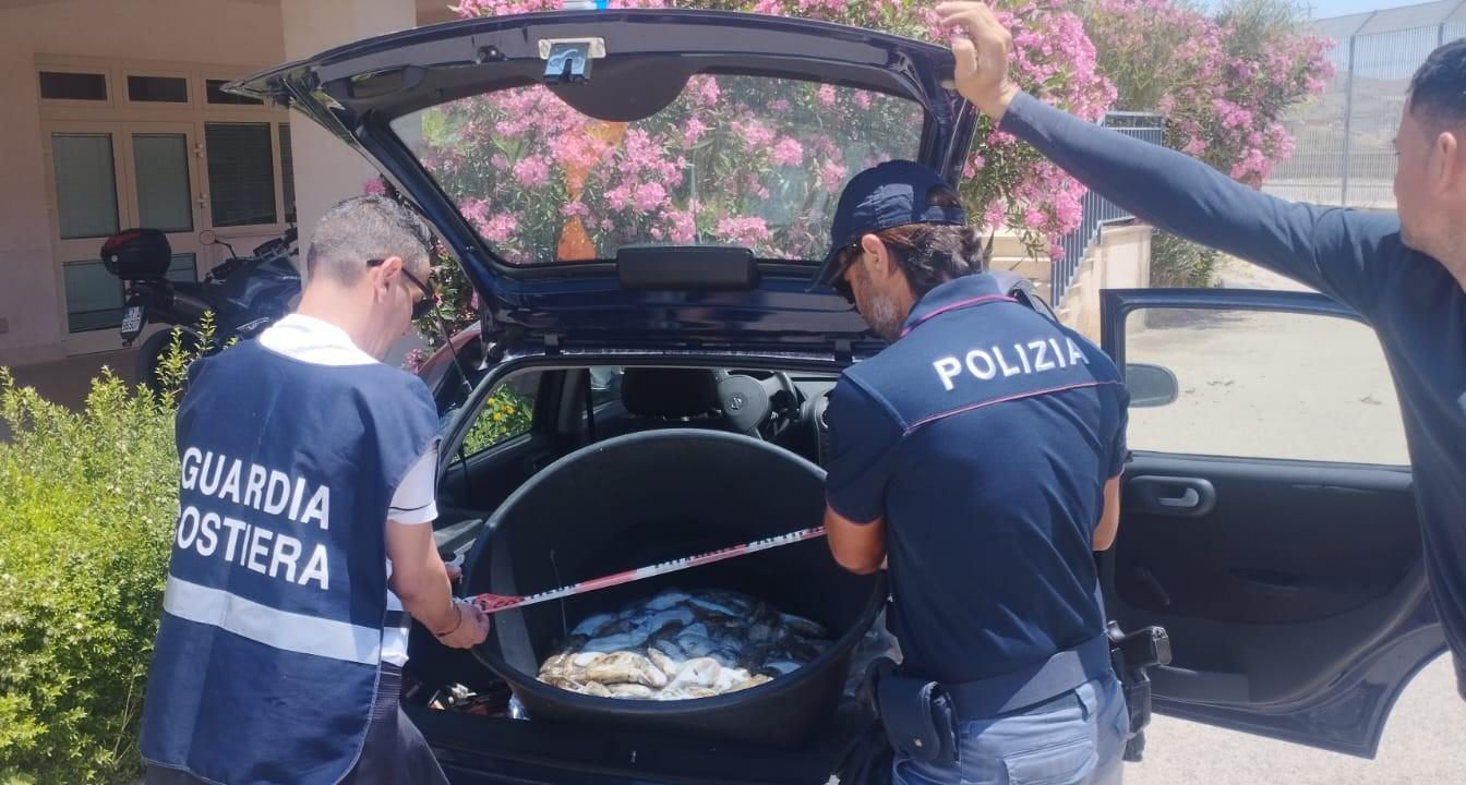 Seppie senza origine certificata: maxi sequestro sulla Statale 115