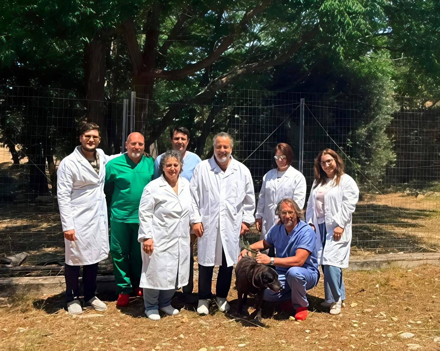 Estate e abbandono degli animali, l’Asp Trapani lancia una campagna di sensibilizzazione