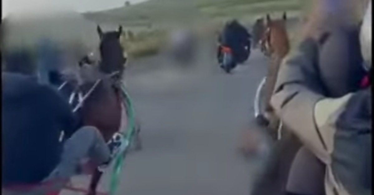 Adrano, sventata corsa clandestina di cavalli: sequestrati 2 animali e identificate decine di persone