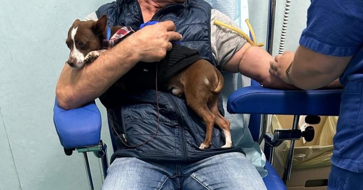 Animali d’affezione in ospedale, al Sant’Antonio Abate di Trapani i primi ingressi nei reparti