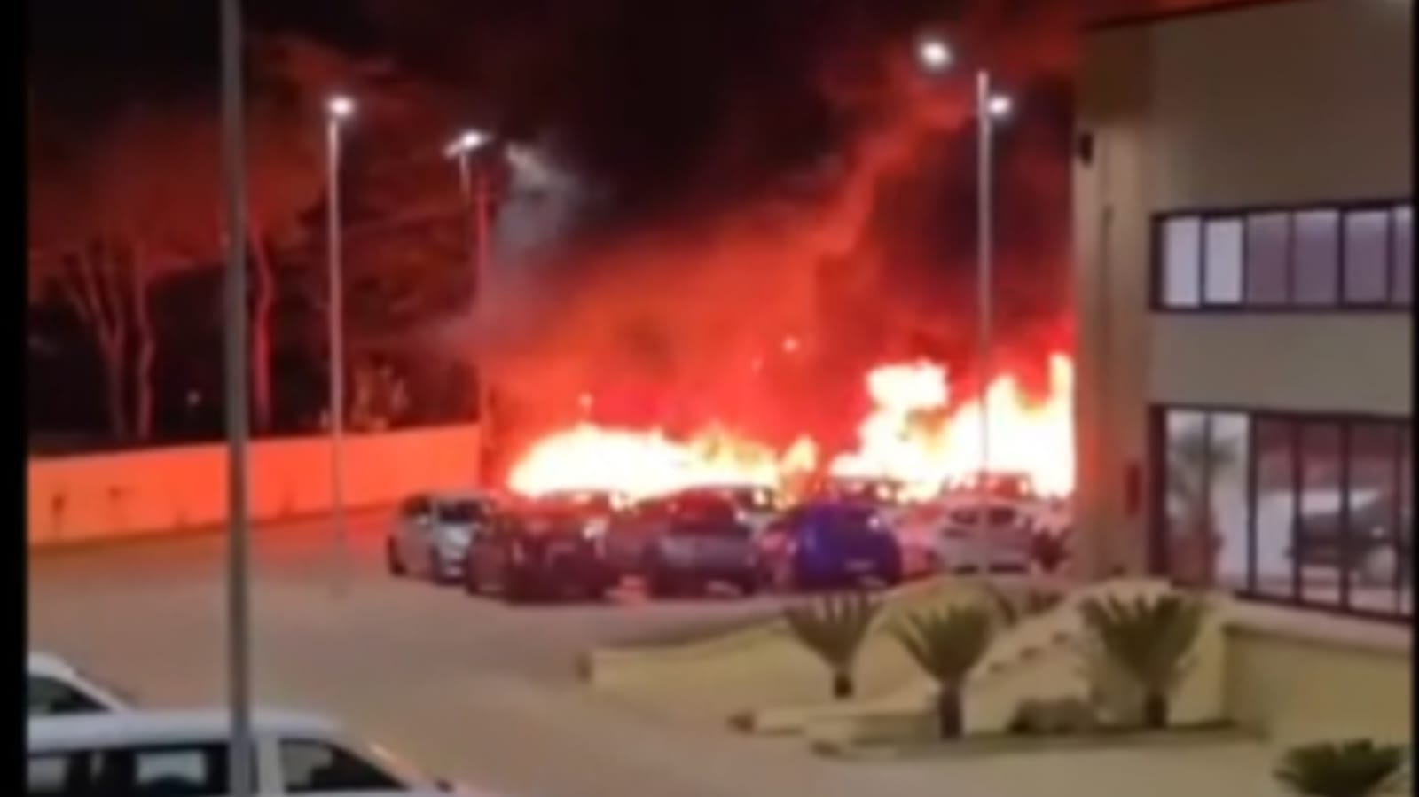 Incendio nella sede di Sicily by Car a Carini: distrutte diverse auto, indagano i carabinieri