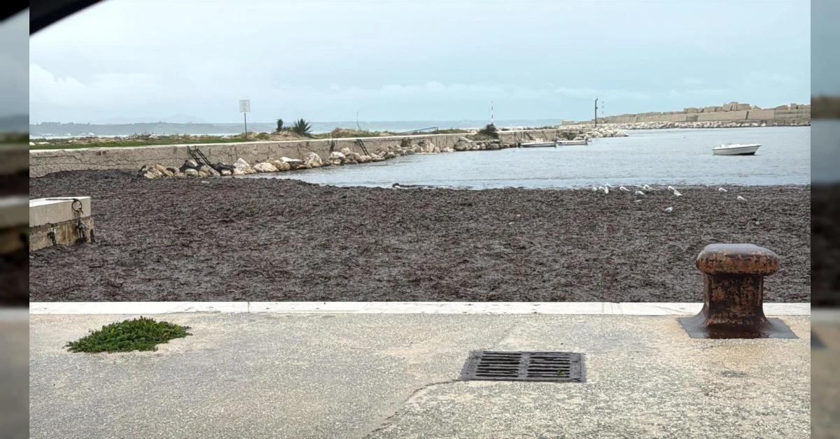 dragaggio del porto di Porto Palo