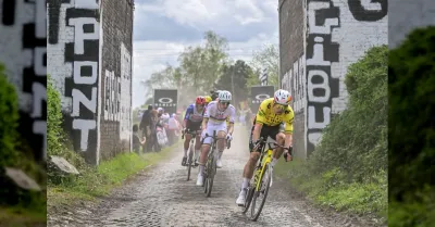 Wout van Aert salta il Tour de France 2026: infortunio al gomito non guarito