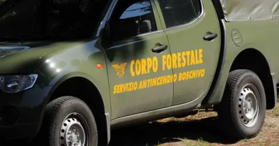 Vasto incendio a Villafranca Sicula, distrutti 200 alberi di ulivo