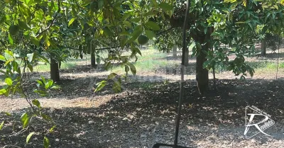 Riparato il guasto all'adduttore Castello, riparte l'irrigazione nel riberese