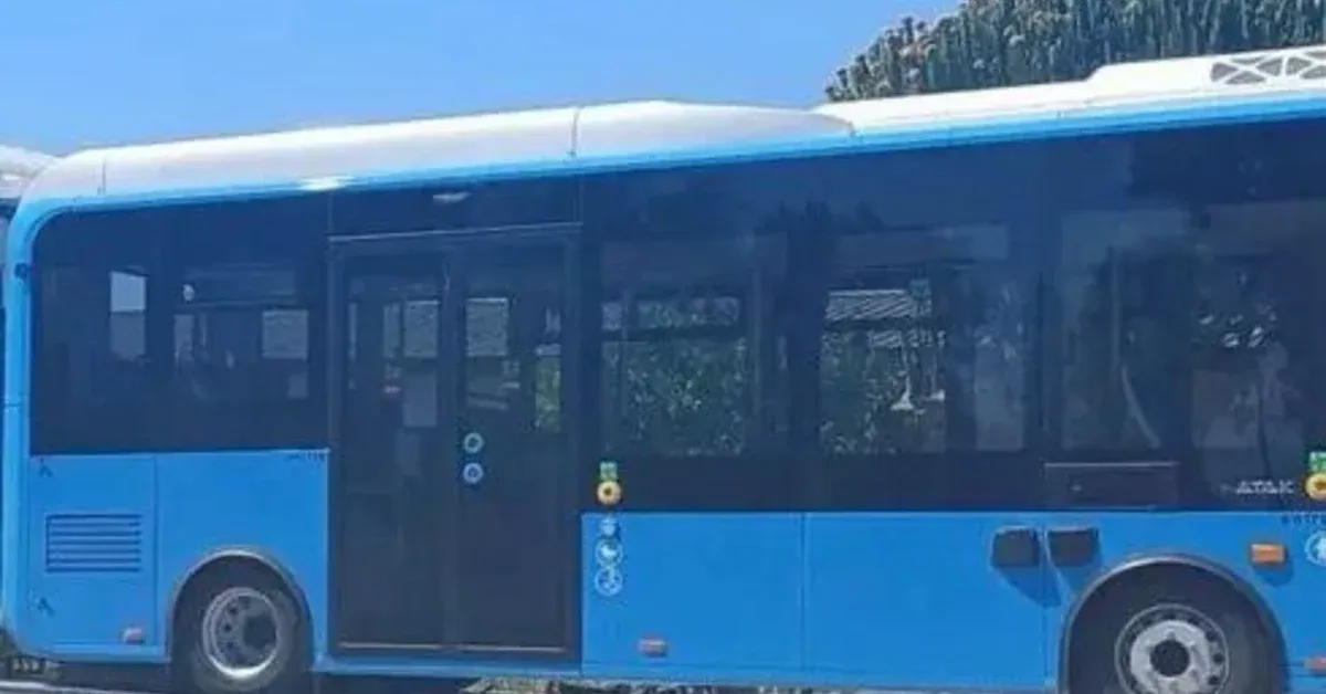Cronaca / Attualità