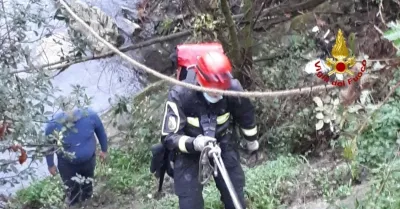 Cronaca / Attualità