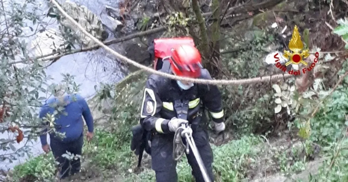 Cronaca / Attualità