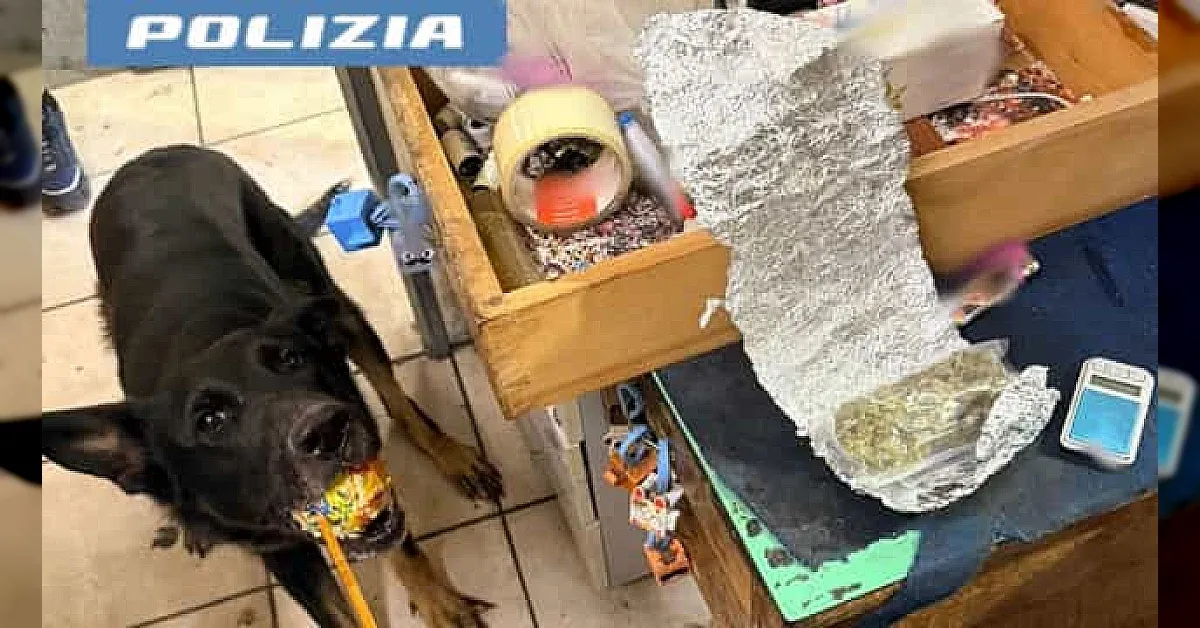 Cronaca / Attualità