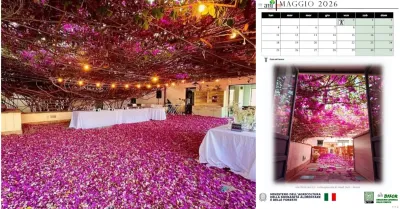 La Bougainvillea monumentale di Menfi nel Calendario 2026 del Ministero dell’Agricoltura