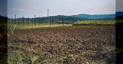 Bracciante marocchino muore di caldo mentre raccoglie angurie nel Mantovano