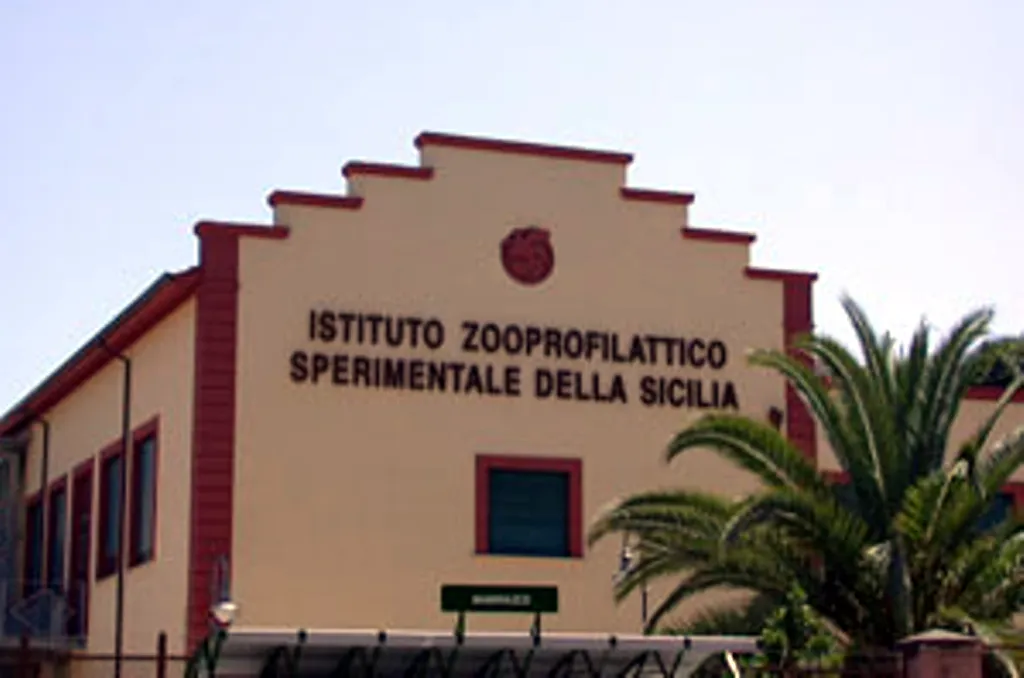 Cronaca / Attualità