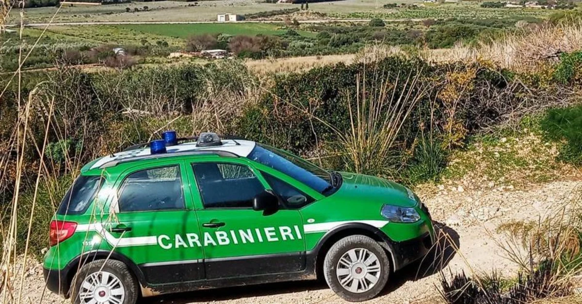 Falsa veterinaria denunciata nel Palermitano: sequestrati farmaci, certificati e container rubati