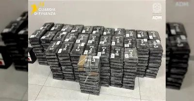 Sequestrati 300 chili di cocaina purissima nel porto di Vado Ligure, droga nascosta tra platani colombiani
