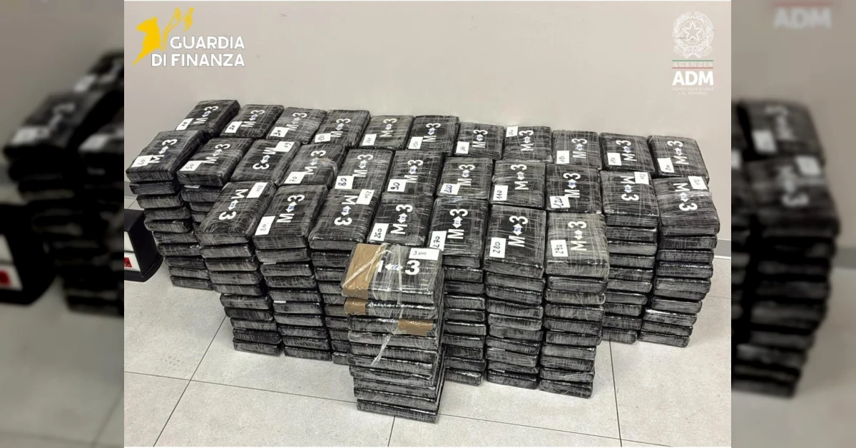 Sequestro di 300 chili di cocaina purissima nel porto di Vado Ligure nascosta tra platani colombiani