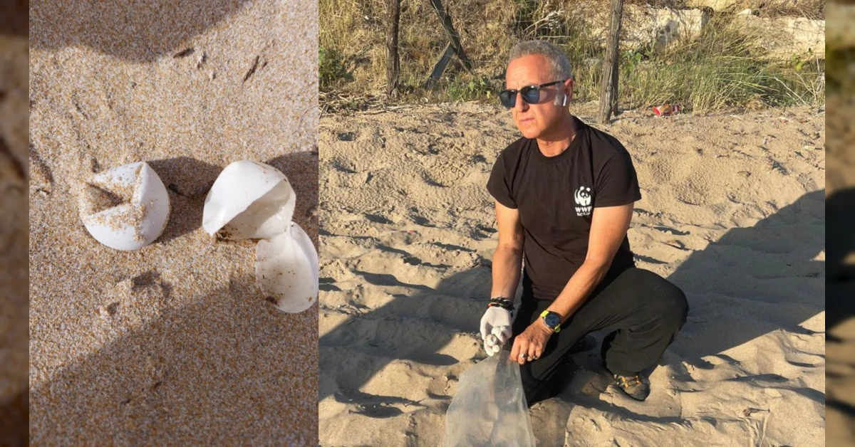 Uova di Caretta caretta disperse sulla spiaggia di San Marco a Sciacca con intervento di Guardia Costiera e WWF